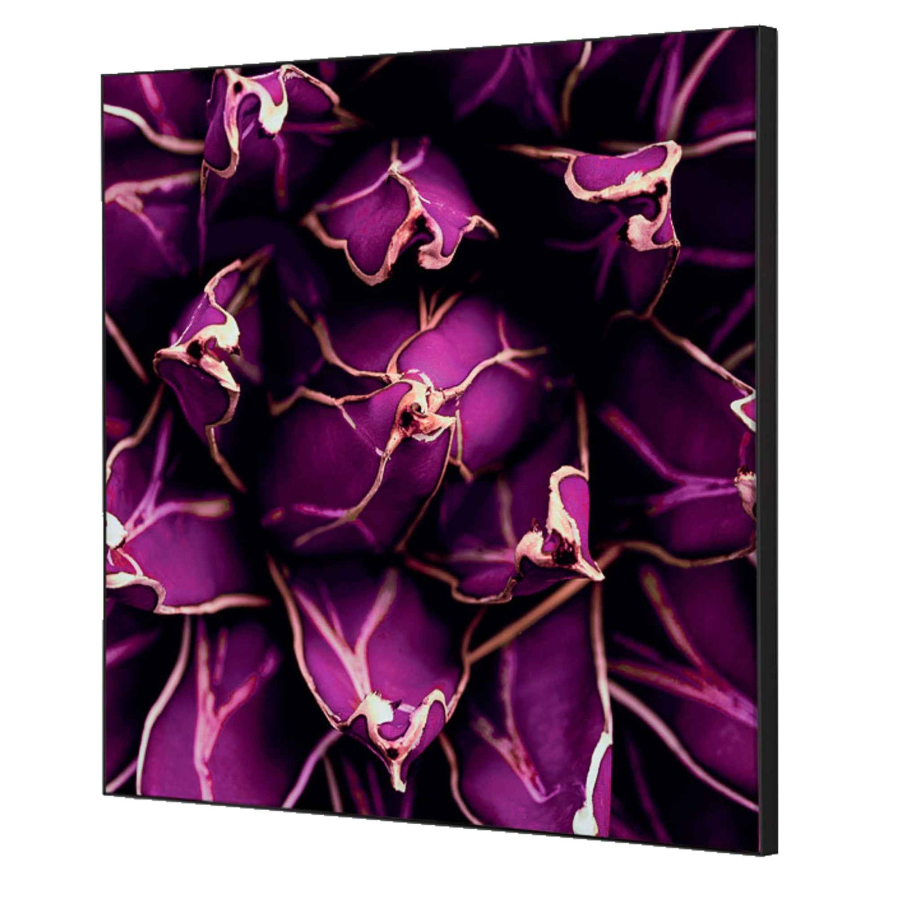 Showdown® Displays Dekobild 40 x 40 cm (B x H) Kaktus – Produktbild 4