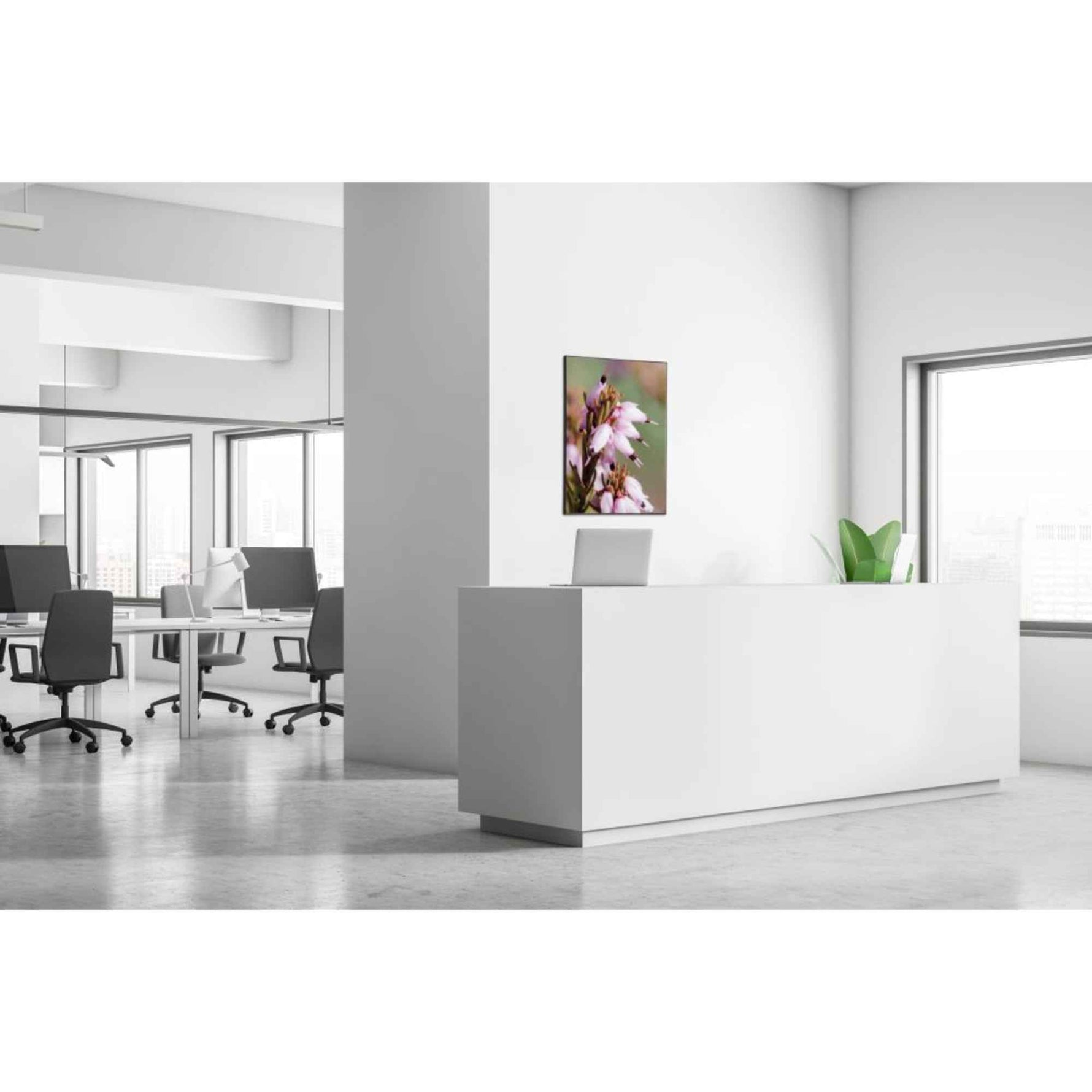 Showdown® Displays Dekobild 84,1 x 59,4 cm (B x H) Pinke Blume Erica