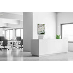 Showdown® Displays Dekobild 84,1 x 59,4 cm (B x H) Weiße Blume Spirea