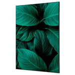 Showdown® Displays Dekobild 84,1 x 59,4 cm (B x H) Botanische Blätter – Produktbild 6