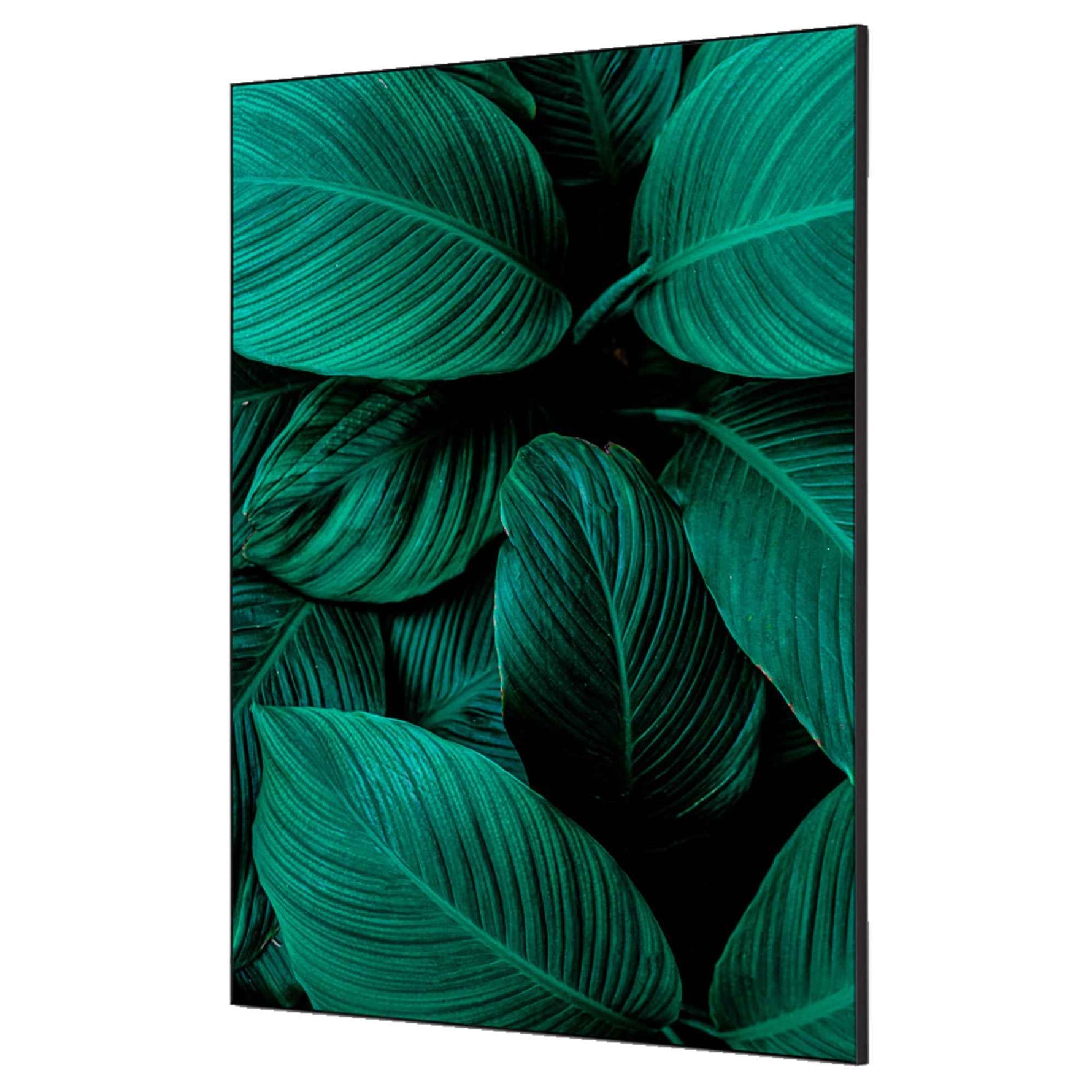 Showdown® Displays Dekobild 84,1 x 59,4 cm (B x H) Botanische Blätter – Produktbild 6