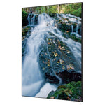 Showdown® Displays Dekobild 84,1 x 59,4 cm (B x H) Wasserfallwald