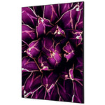 Showdown® Displays Dekobild 84,1 x 59,4 cm (B x H) Kaktus – Produktbild 3