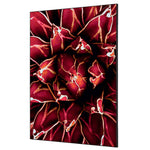 Showdown® Displays Dekobild 84,1 x 59,4 cm (B x H) Kaktus