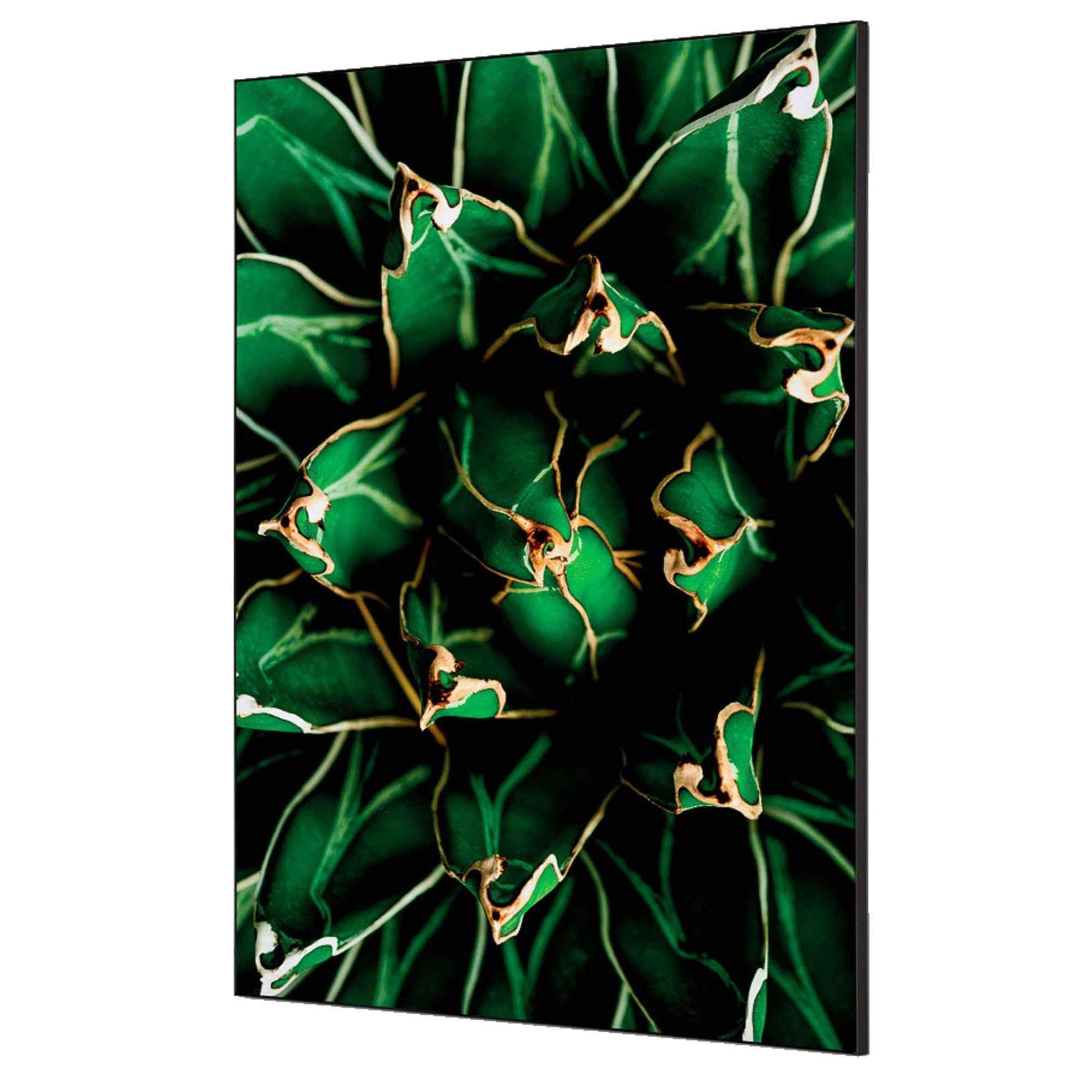 Showdown® Displays Dekobild 84,1 x 59,4 cm (B x H) Kaktus – Produktbild 7