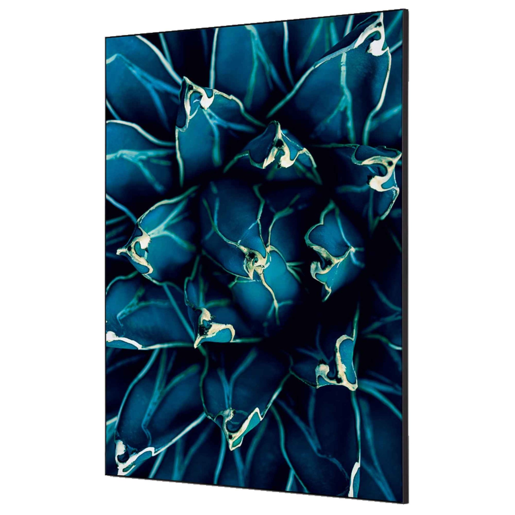 Showdown® Displays Dekobild 84,1 x 59,4 cm (B x H) Kaktus – Produktbild 5