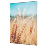 Showdown® Displays Dekobild 84,1 x 59,4 cm (B x H) Getreidefeld