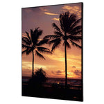 Showdown® Displays Dekobild 42 x 59,4 cm (B x H) Palmen Sonnenuntergang