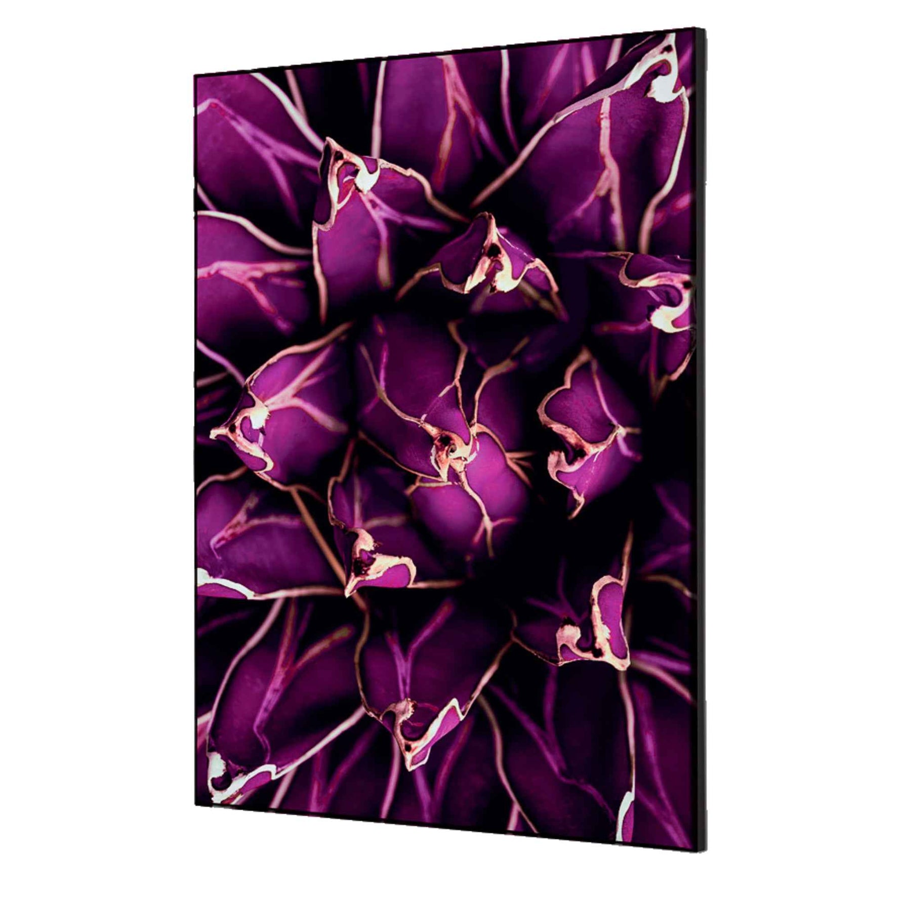 Showdown® Displays Dekobild 42 x 59,4 cm (B x H) Kaktus – Produktbild 3