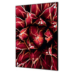 Showdown® Displays Dekobild 42 x 59,4 cm (B x H) Kaktus