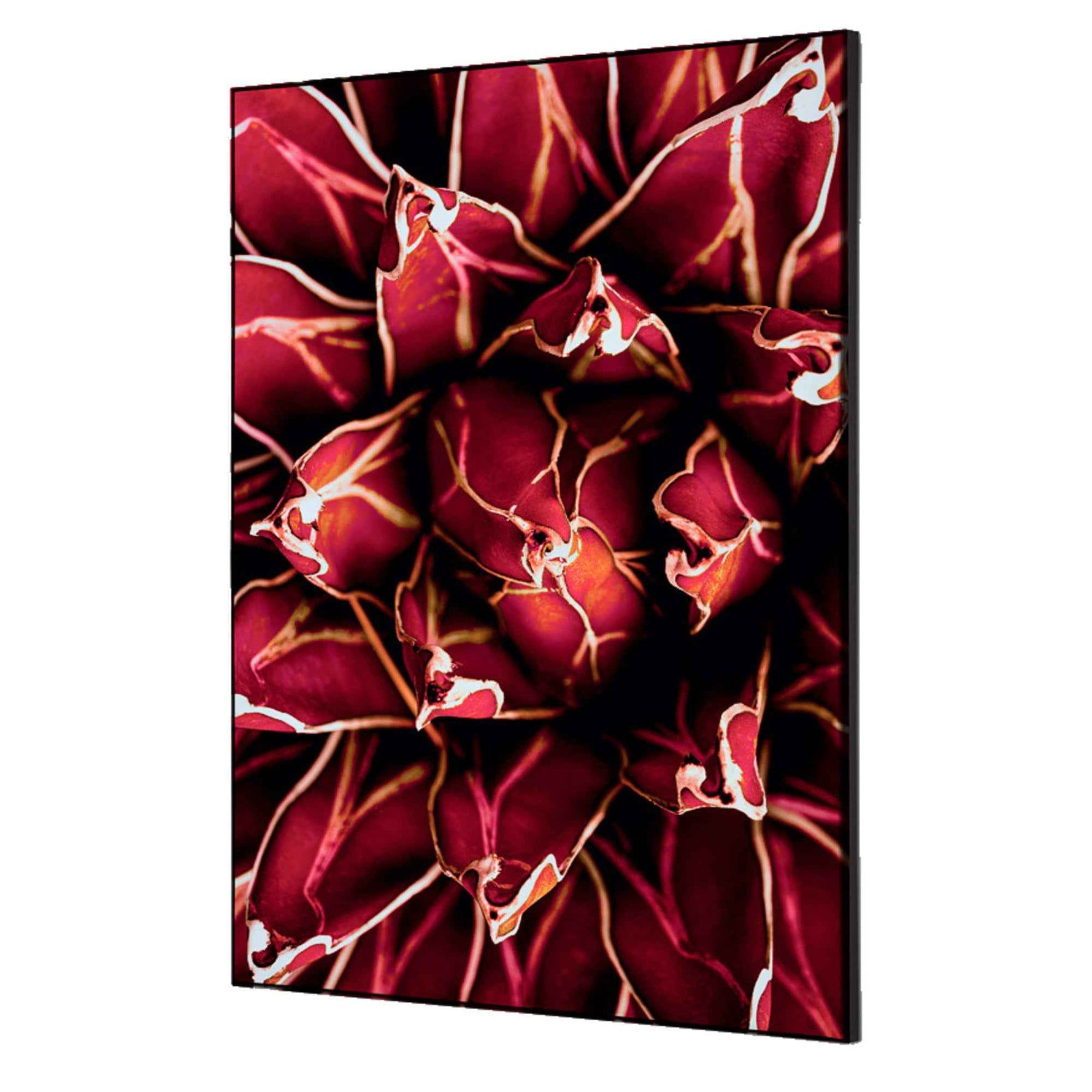 Showdown® Displays Dekobild 42 x 59,4 cm (B x H) Kaktus