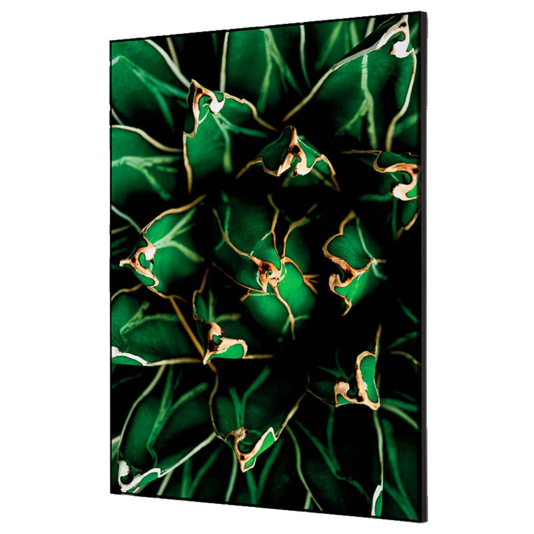 Showdown® Displays Dekobild 42 x 59,4 cm (B x H) Kaktus – Produktbild 5
