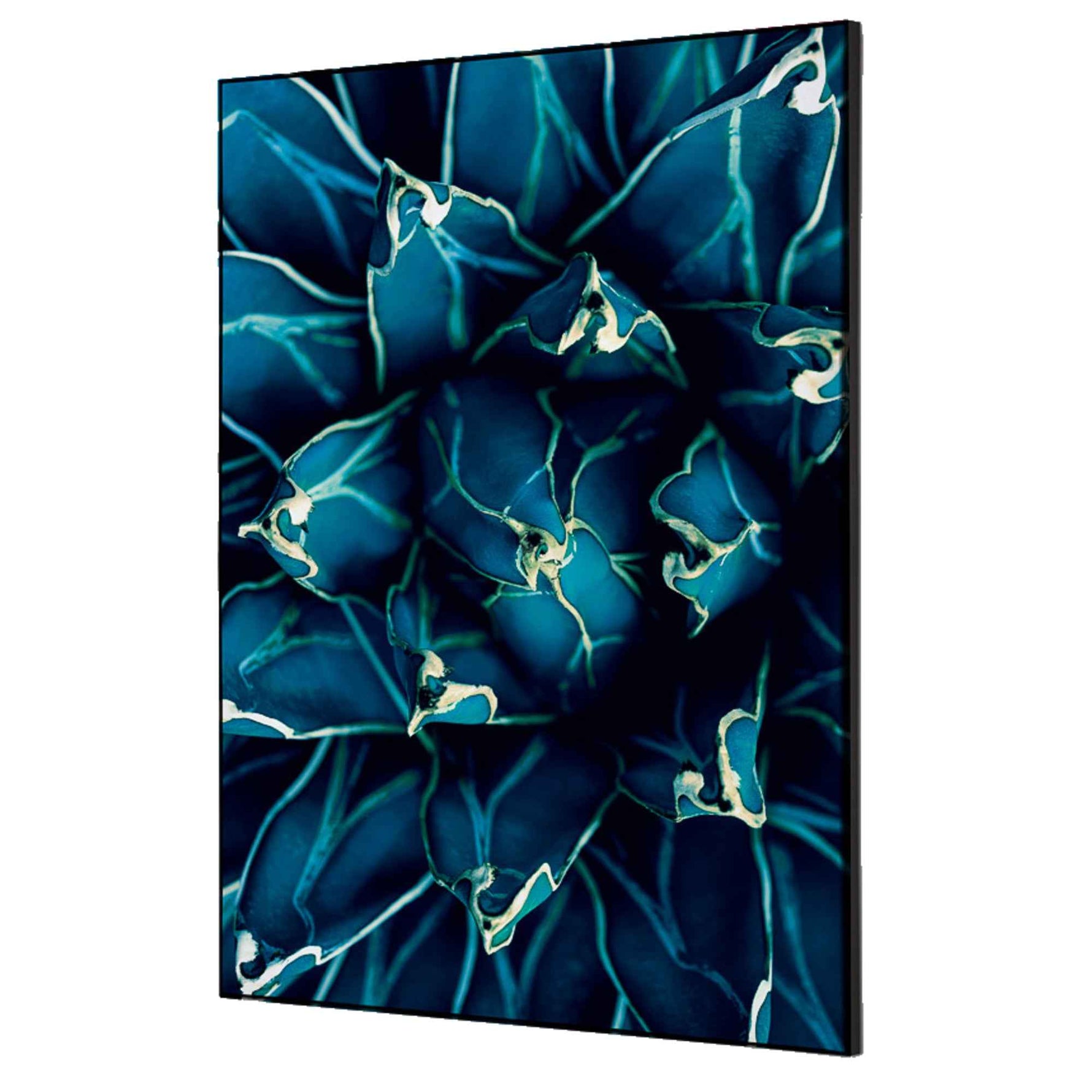 Showdown® Displays Dekobild 42 x 59,4 cm (B x H) Kaktus – Produktbild 7