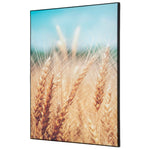 Showdown® Displays Dekobild 42 x 59,4 cm (B x H) Getreidefeld