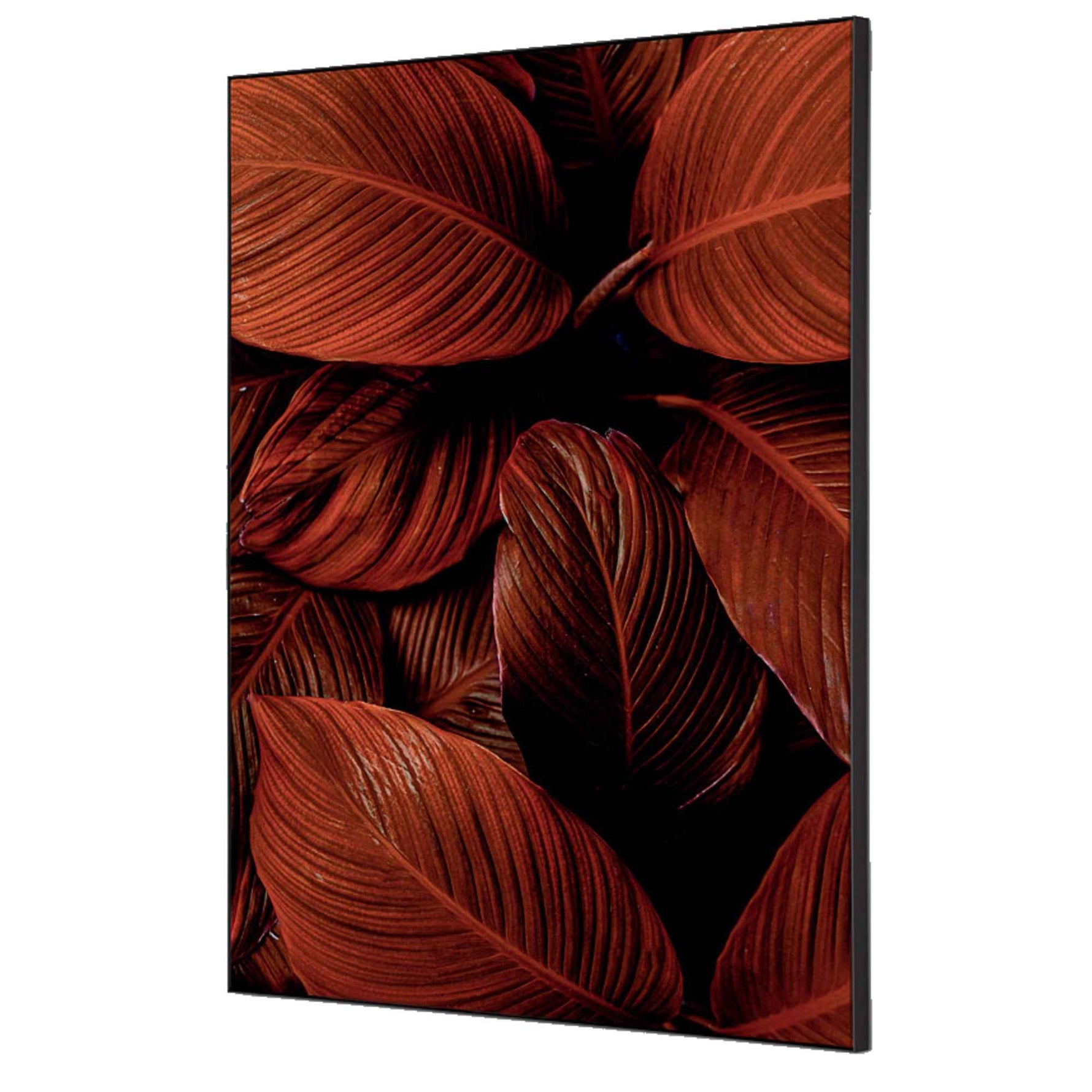 Showdown® Displays Dekobild 42 x 59,4 cm (B x H) Blätter