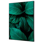 Showdown® Displays Dekobild 42 x 59,4 cm (B x H) Blätter – Produktbild 5