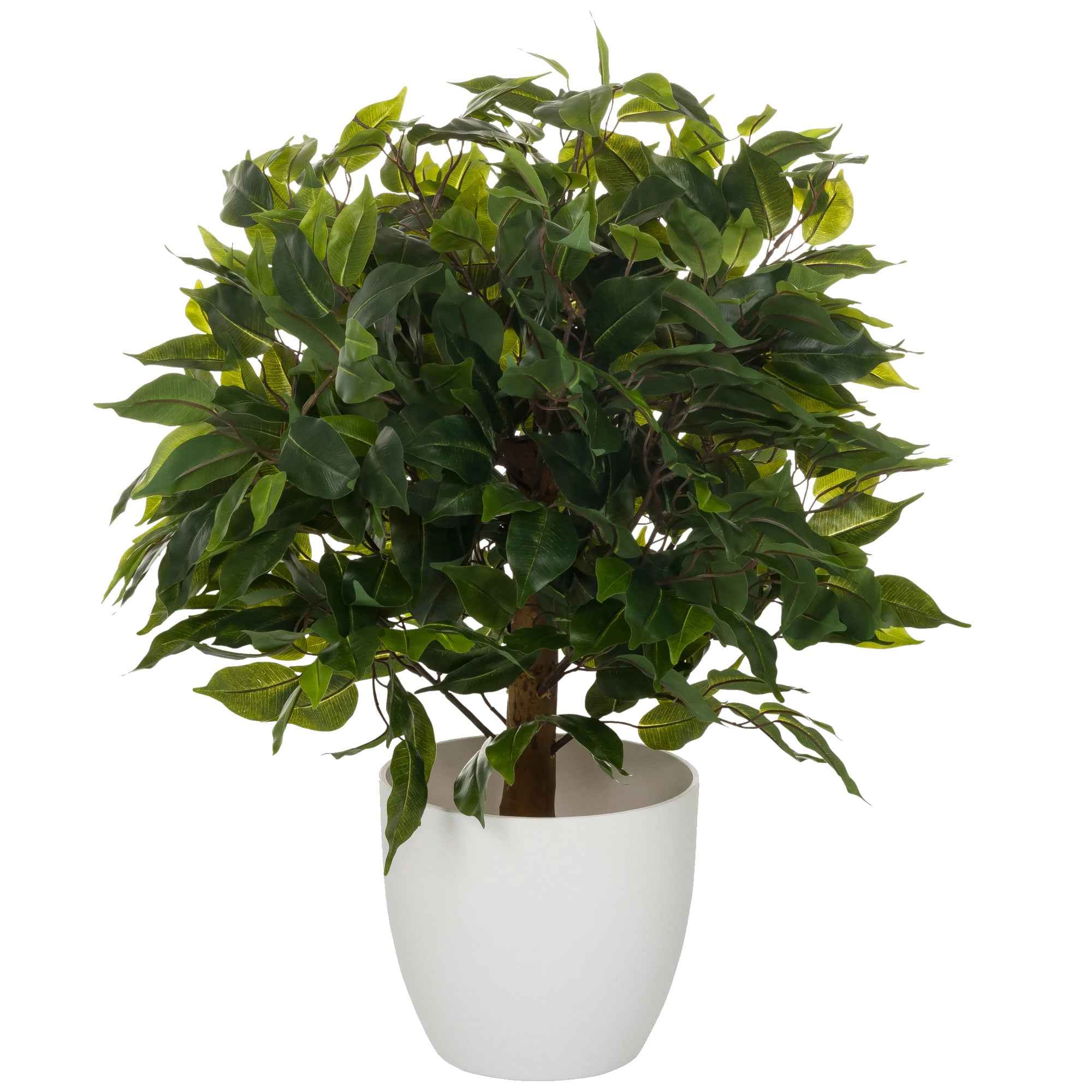 hjh OFFICE Kunstpflanze Ficus II