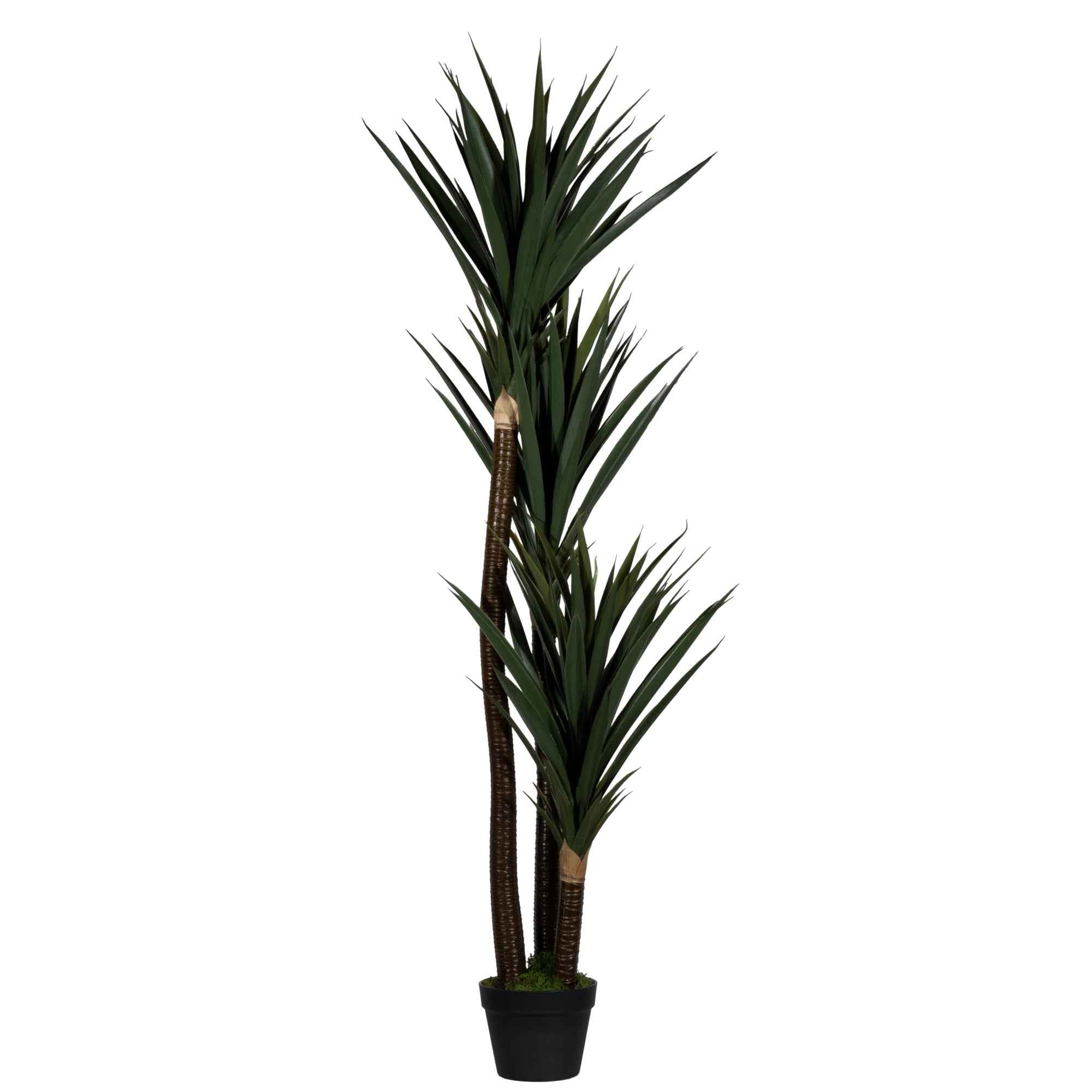Paperflow Kunstpflanze Yucca 150 cm