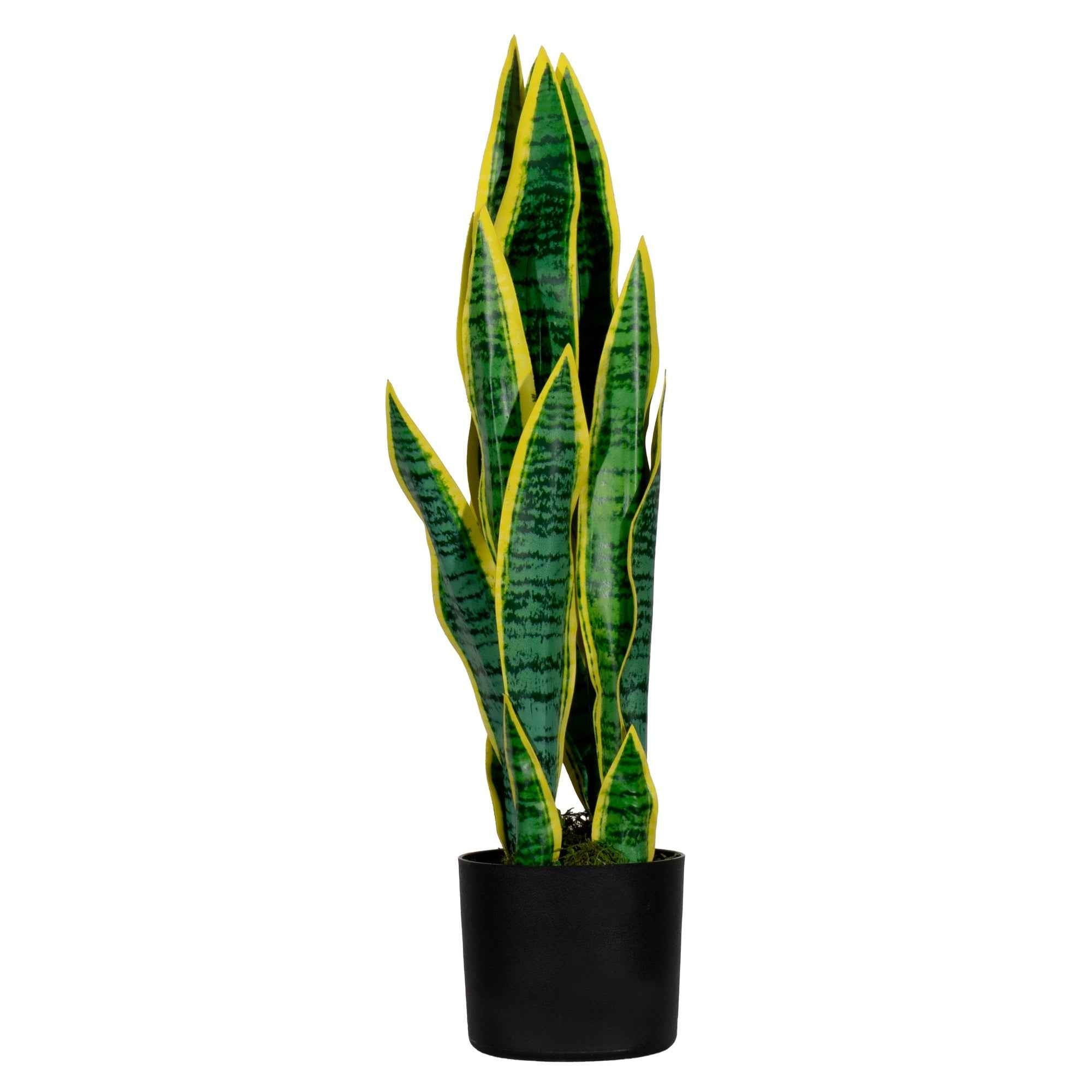 Paperflow Kunstpflanze Sansevieria 65 cm