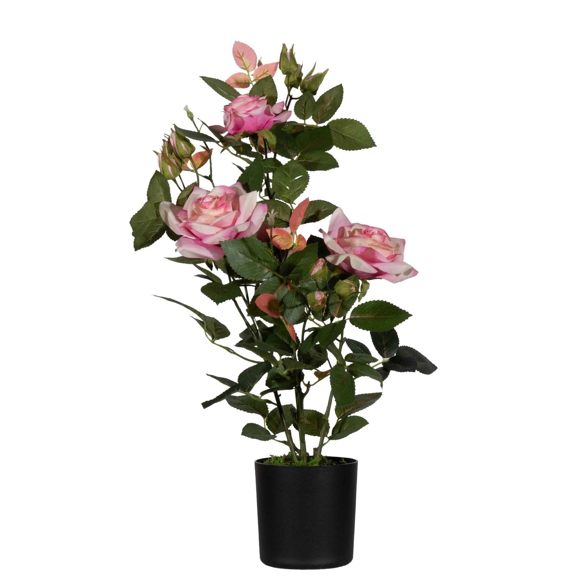 Paperflow Kunstpflanze Rosenstock 54 cm