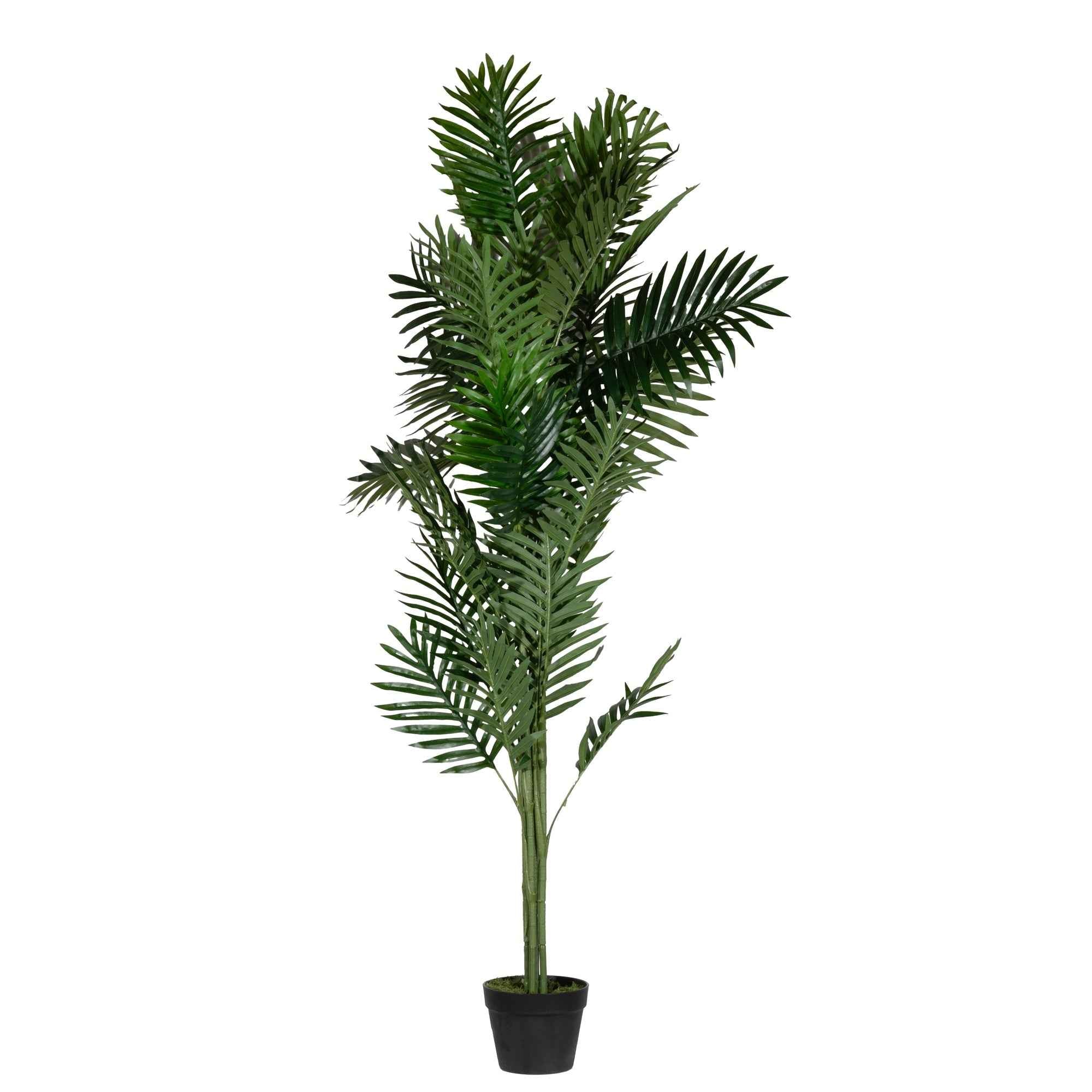 Paperflow Kunstpflanze Palme 160 cm