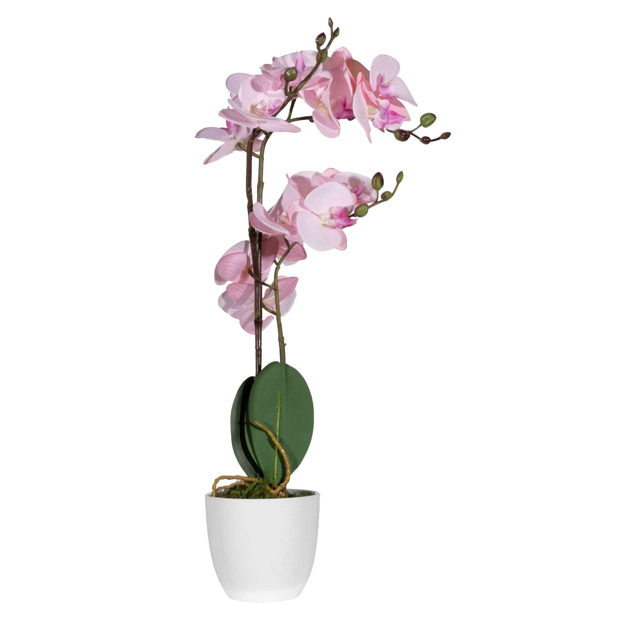 Paperflow Kunstpflanze Orchidee 40 cm