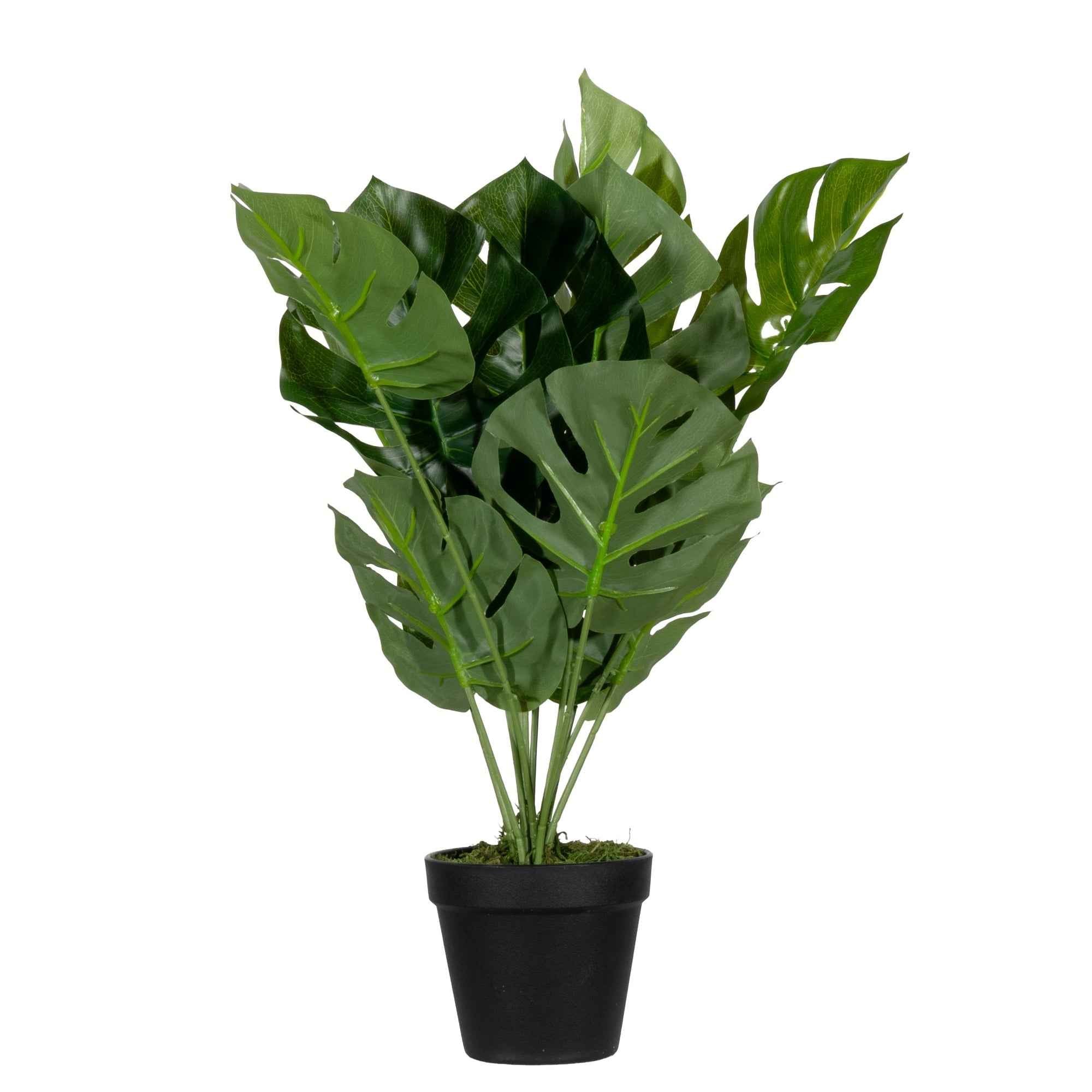 Paperflow Kunstpflanze Monstera 45 cm