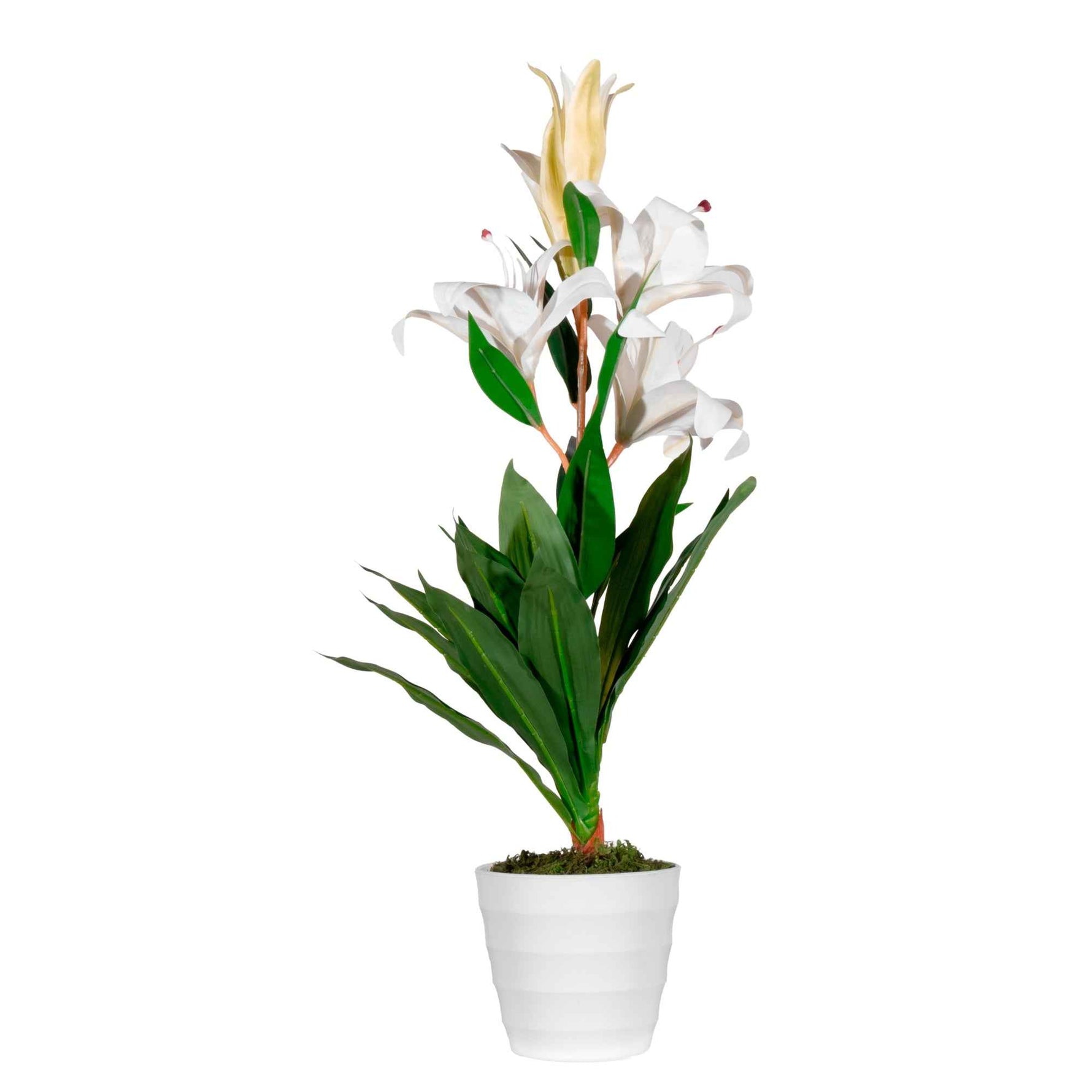 Paperflow Kunstpflanze Lilienblume 65 cm