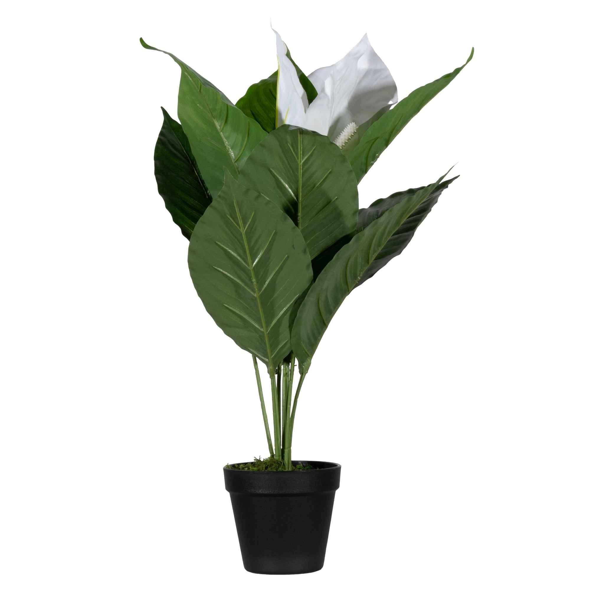 Paperflow Kunstpflanze Einblatt 55 cm