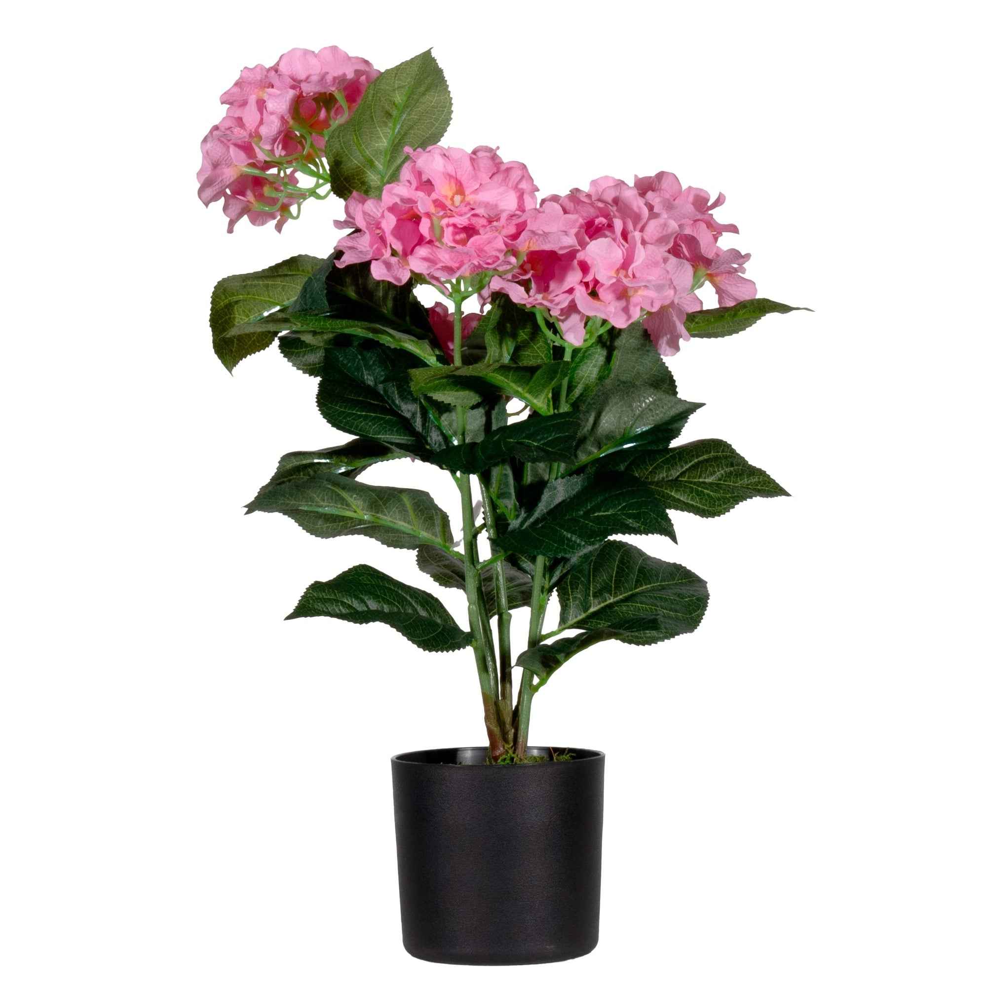 Paperflow Kunstpflanze Hortensie 55 cm