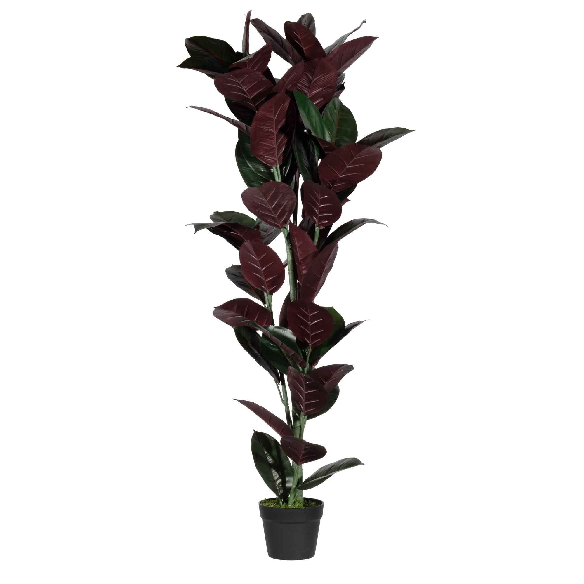 Paperflow Kunstpflanze Gummibaum 120 cm