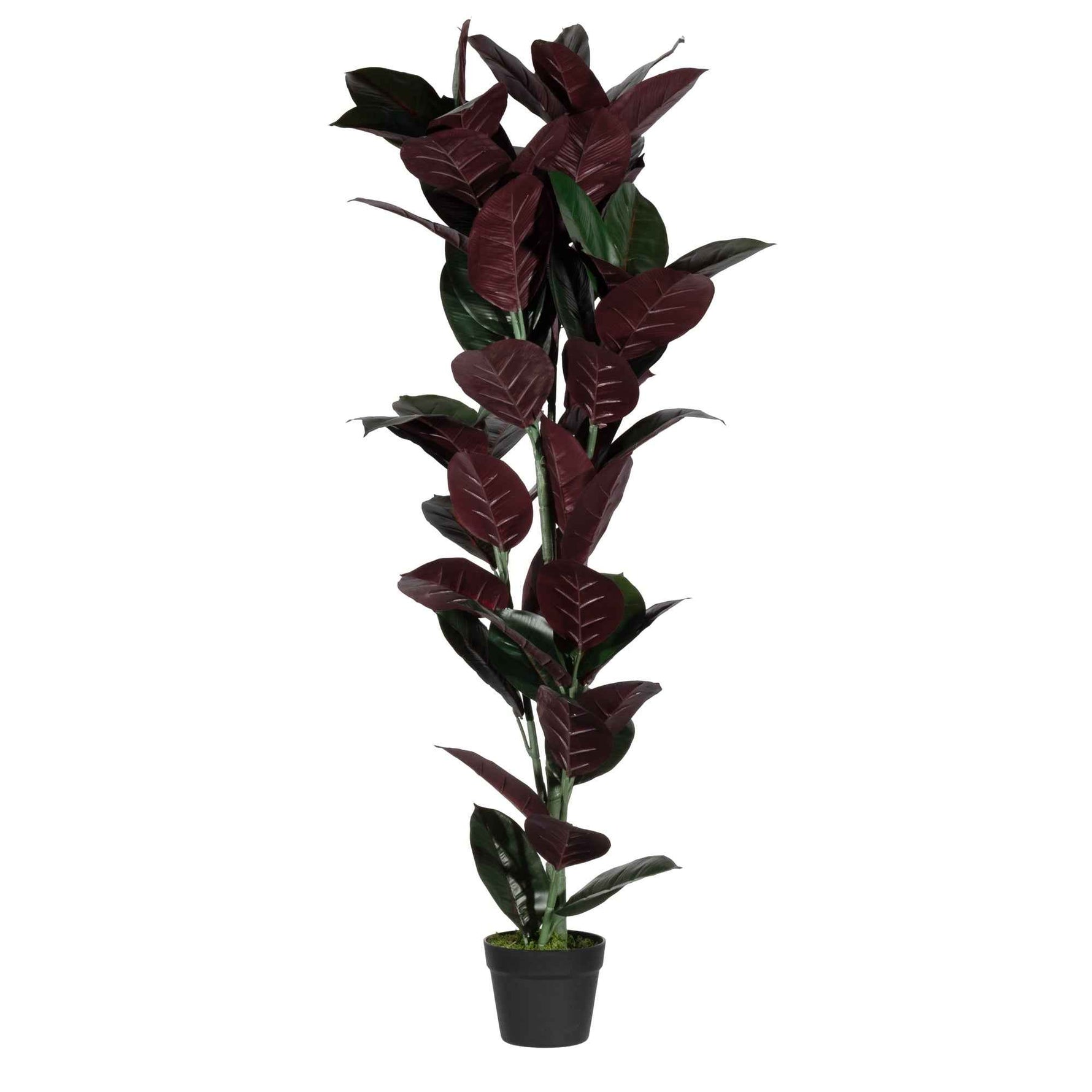 Paperflow Kunstpflanze Gummibaum 120 cm