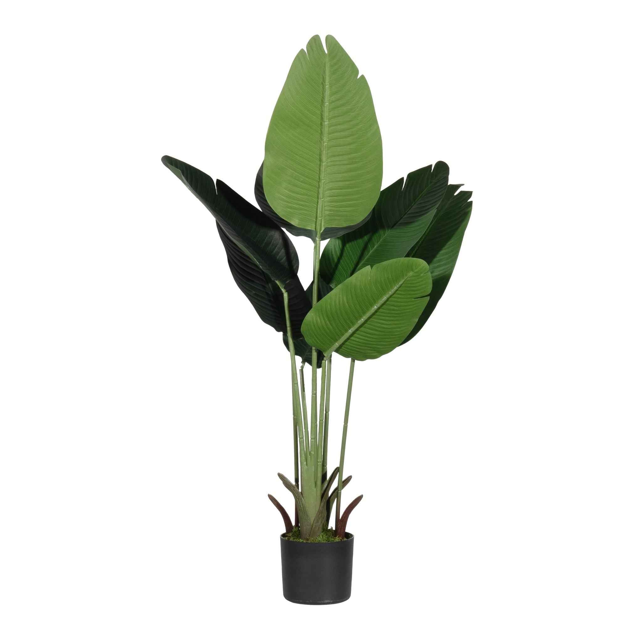 Paperflow Kunstpflanze Bananenbaum 115 cm