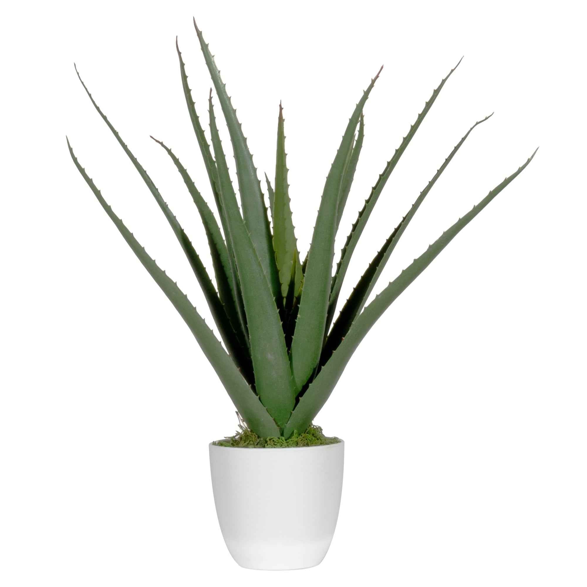 Paperflow Kunstpflanze Aloe Vera 45 cm