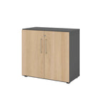 Hammerbacher Flügeltürenschrank V9 Advanced graphit