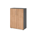 Hammerbacher Flügeltürenschrank V9 Advanced graphit