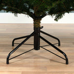 EVERLANDS Weihnachtsbaum Grandis 111 x 150 cm (Ø x H)