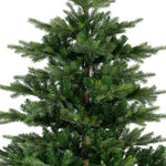 EVERLANDS Weihnachtsbaum Grandis 111 x 150 cm (Ø x H)