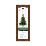 EVERLANDS Weihnachtsbaum Grandis 182 x 300 cm (Ø x H)