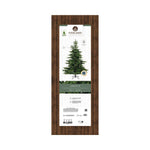 EVERLANDS Weihnachtsbaum Grandis 150 x 210 cm (Ø x H)