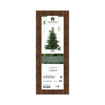 EVERLANDS Weihnachtsbaum Grandis 132 x 180 cm (Ø x H)