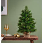 EVERLANDS Weihnachtsbaum Edmonton Spruce