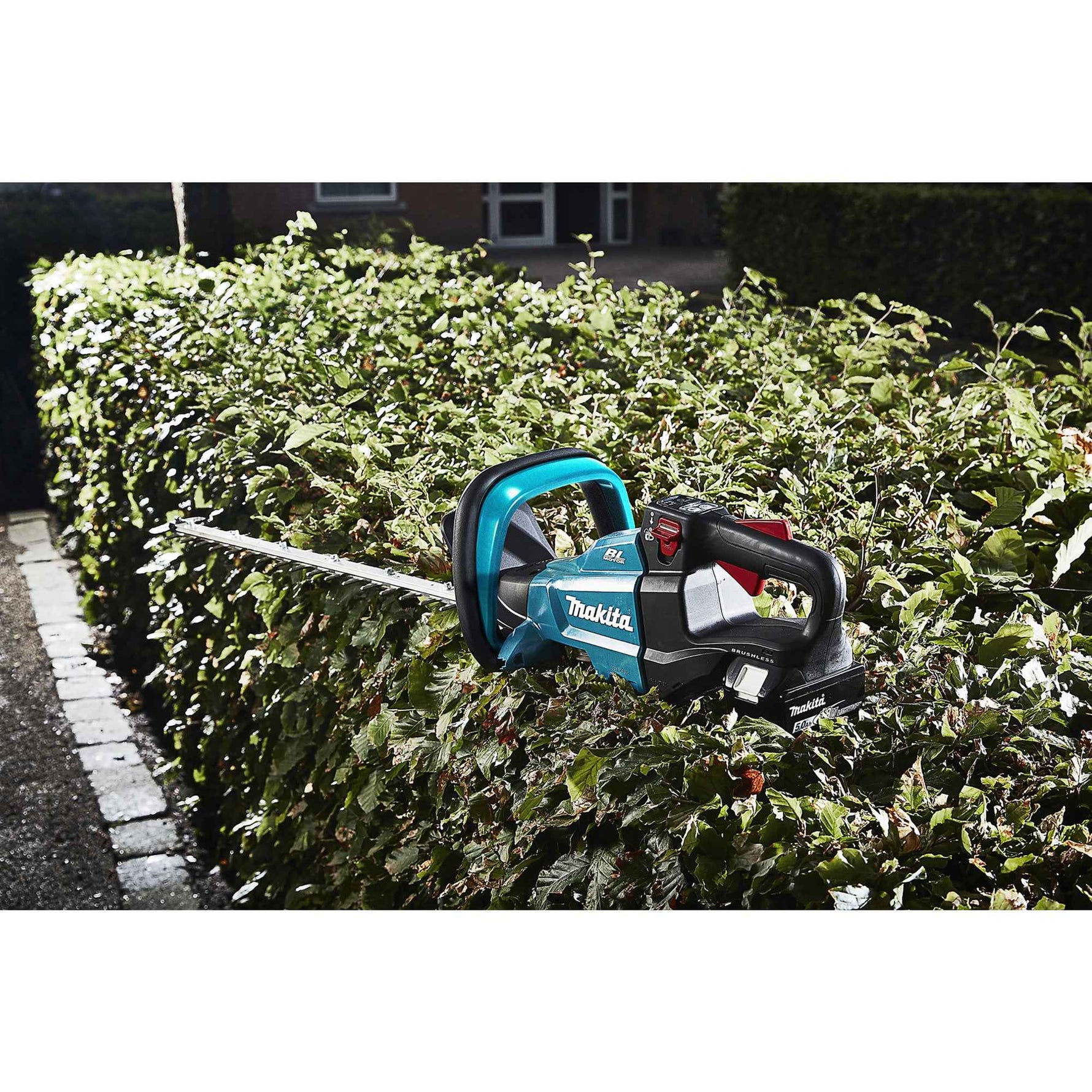 Makita® Heckenschere DUH502 Zubehör erforderlich