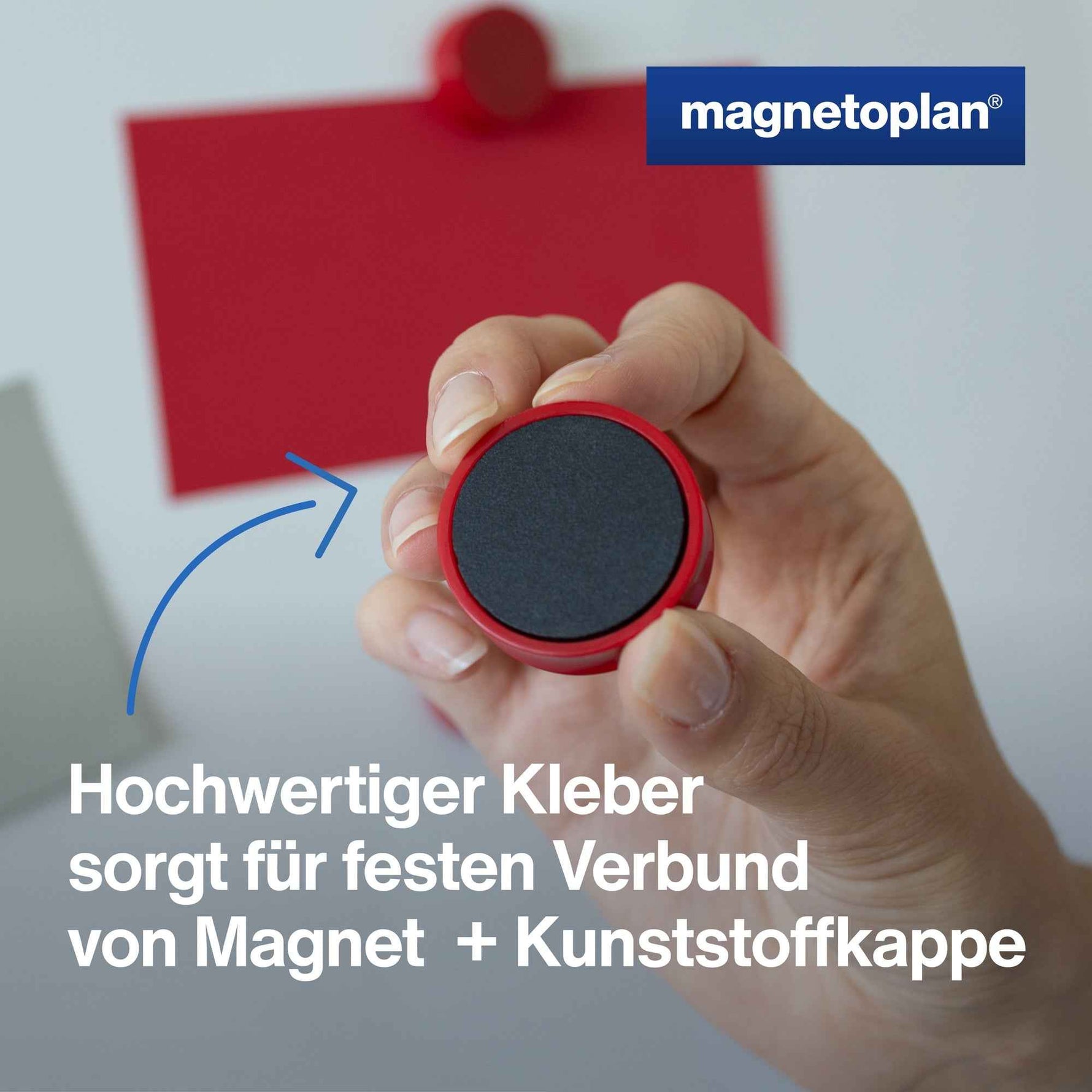 magnetoplan® Magnet Ergo Large