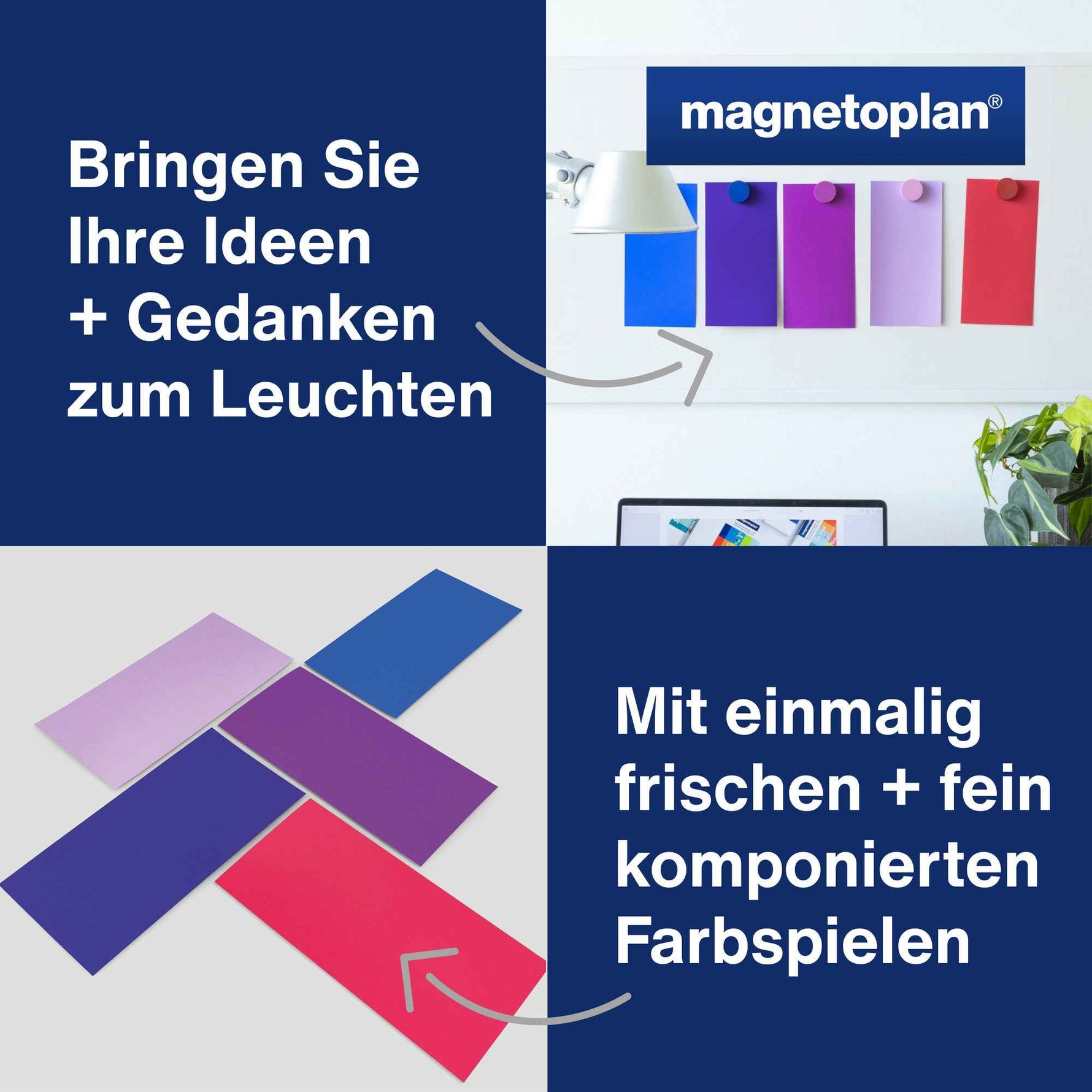 magnetoplan® Moderationskarte Dawn