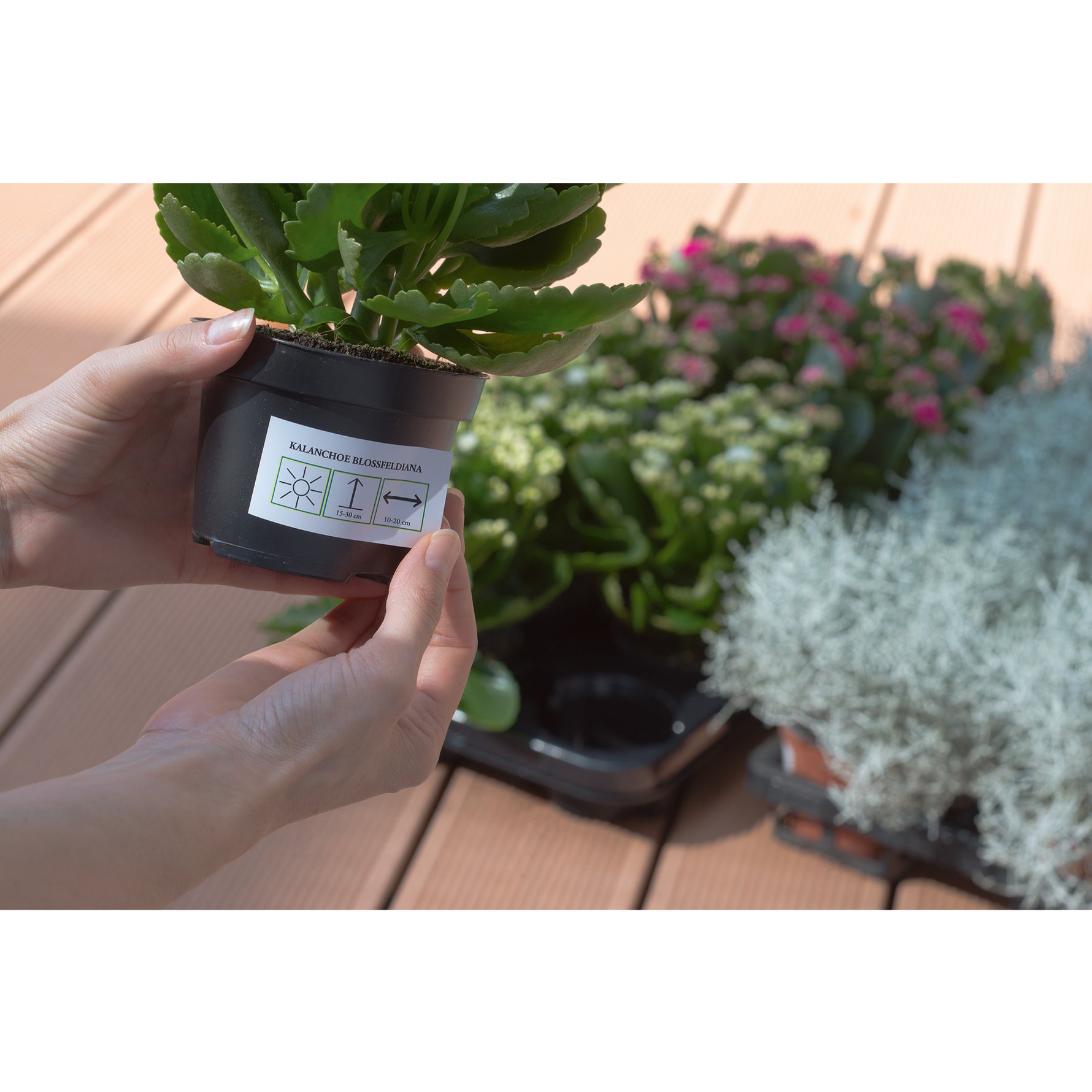 HERMA Folienetikett SPECIAL 210 x 297 mm (B x H)