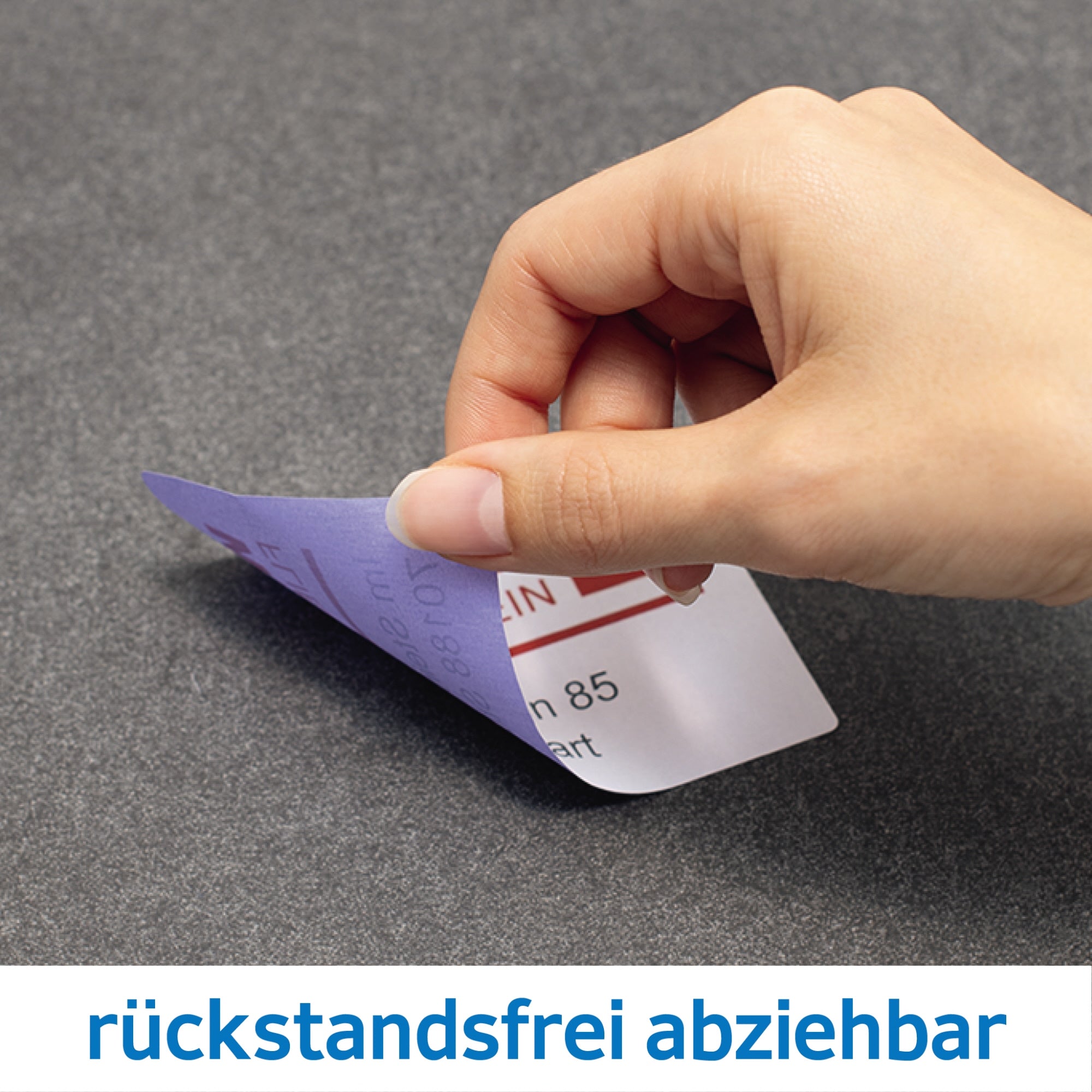 Bild-Alt-Text