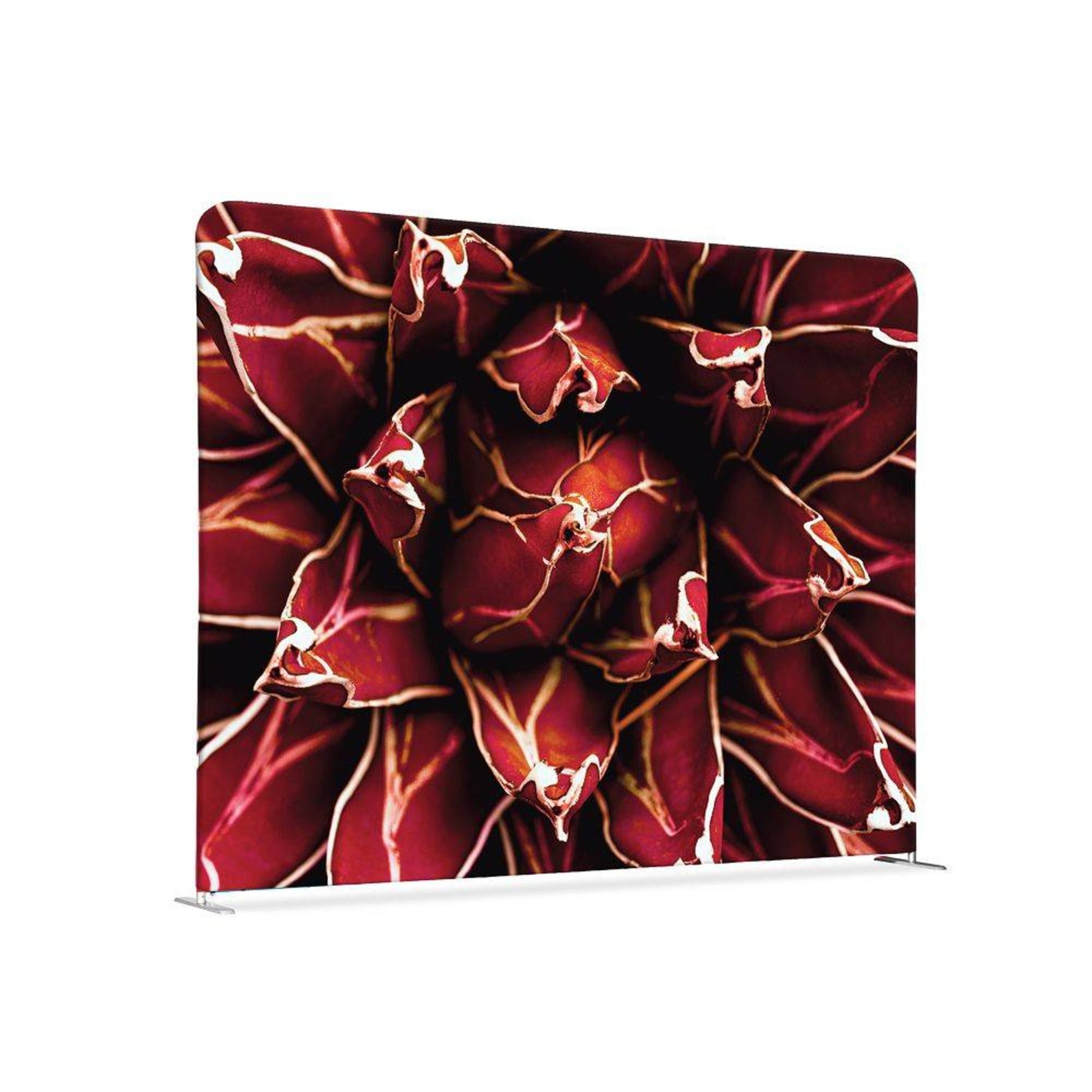 Showdown® Displays Trennwand Kaktus 200 x 150 x 45 cm (B x H x T)