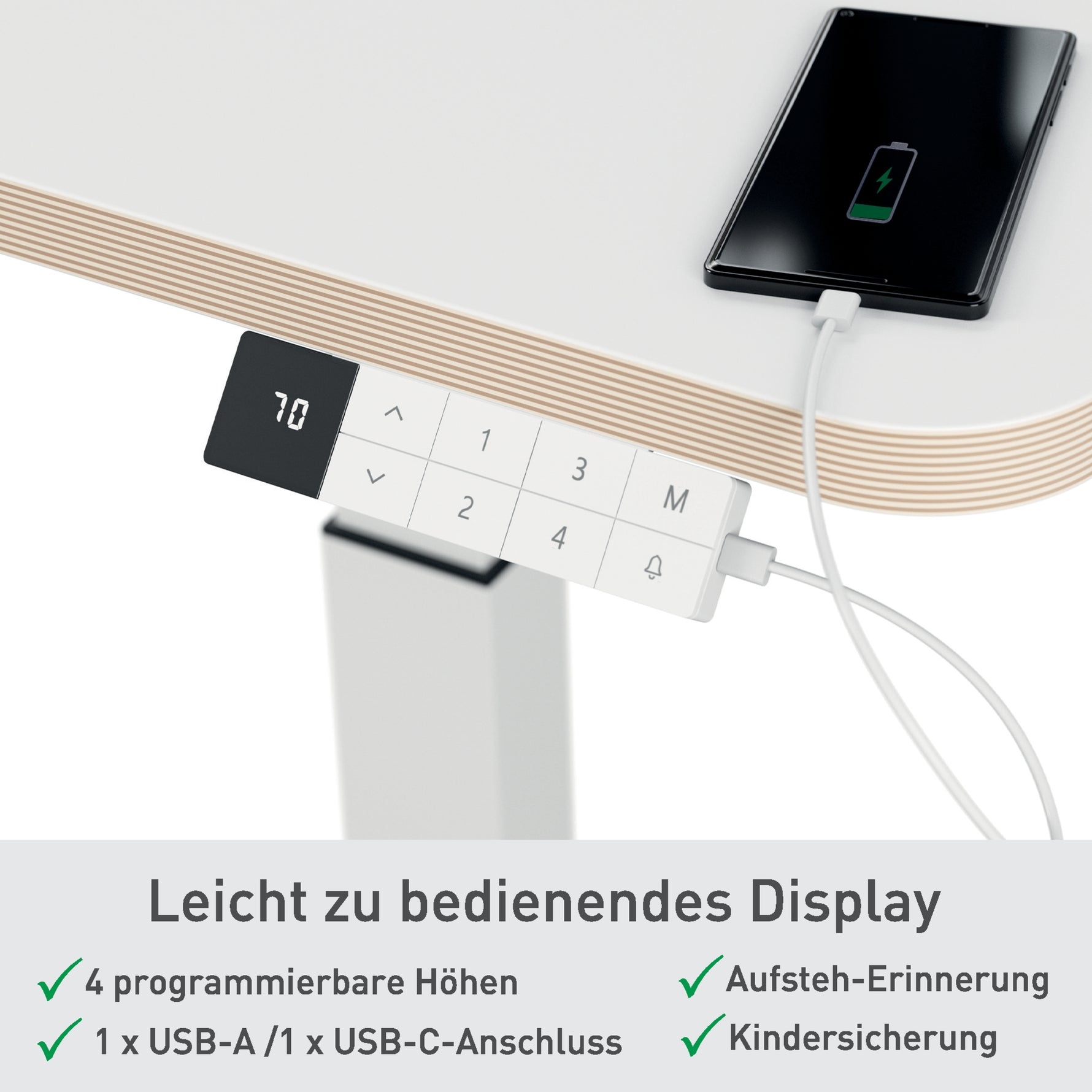 Leitz Schreibtisch Ergo 800 x 650-1.300 x 600 mm (B x H x T) elektronisch