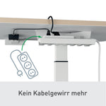 Leitz Schreibtisch Ergo 800 x 650-1.300 x 600 mm (B x H x T) elektronisch